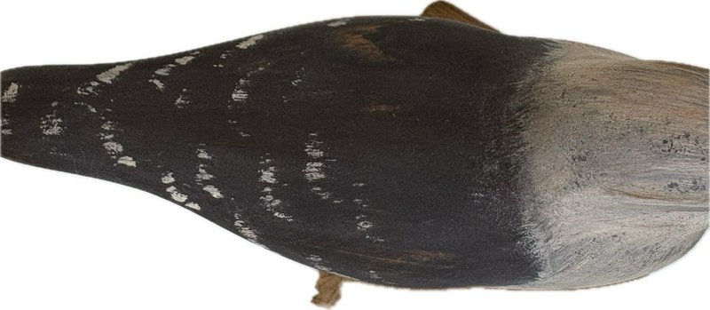 Hand Carved Wooden Shorebird Decoy On Driftwood Base Folk Art Coastal Bird 