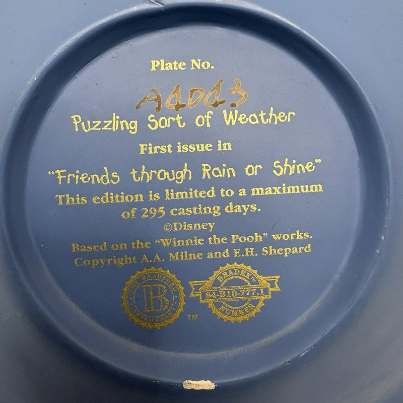 Disney Winnie the Pooh Bradford Exchange 3D Plate - Puzzling Sort of Weather