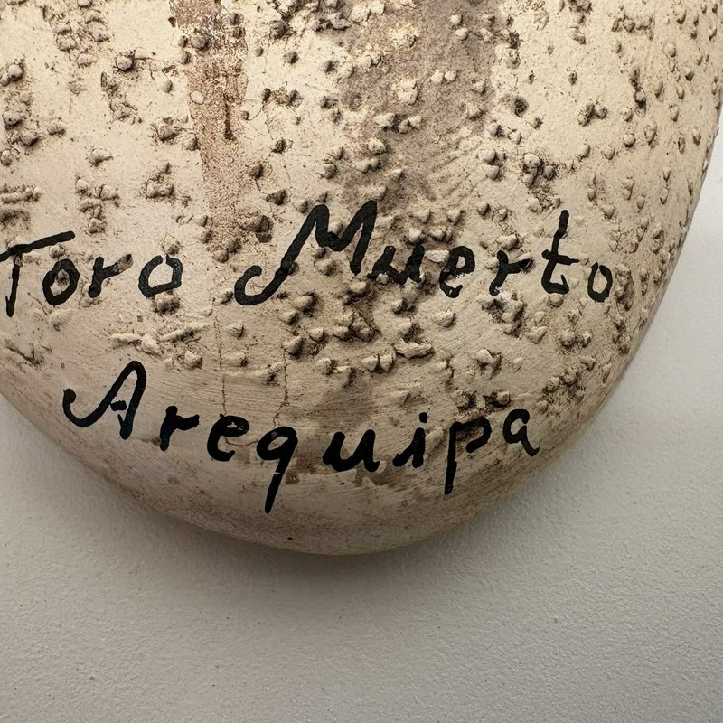 Peruvian Wall Pocket Vase Toro Muerto Petroglyph Design Arequipa Folk Art