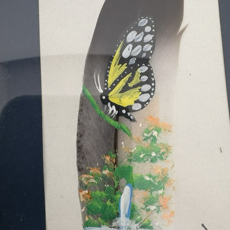 Hand Painted Feather Art Pair Costa Rica Hummingbird & Butterfly Signed Framed