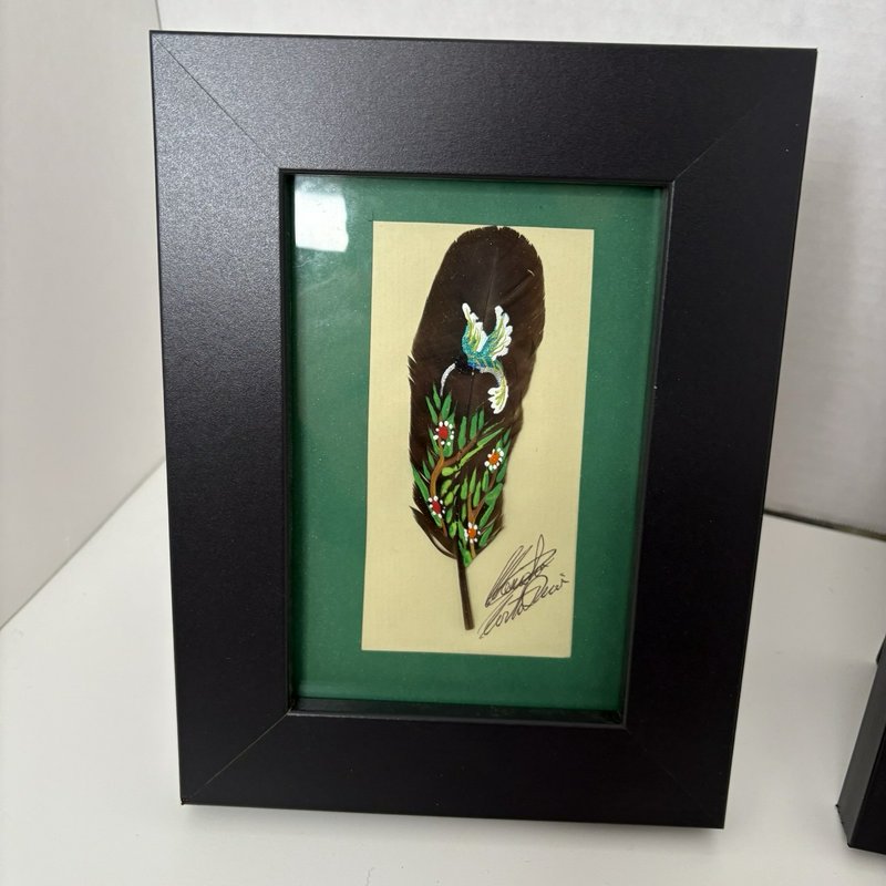 Hand Painted Feather Art Pair Costa Rica Hummingbird & Butterfly Signed Framed