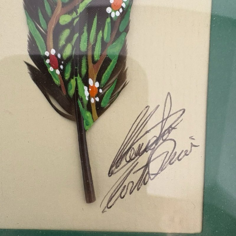 Hand Painted Feather Art Pair Costa Rica Hummingbird & Butterfly Signed Framed