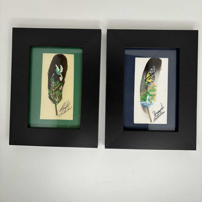 Hand Painted Feather Art Pair Costa Rica Hummingbird & Butterfly Signed Framed