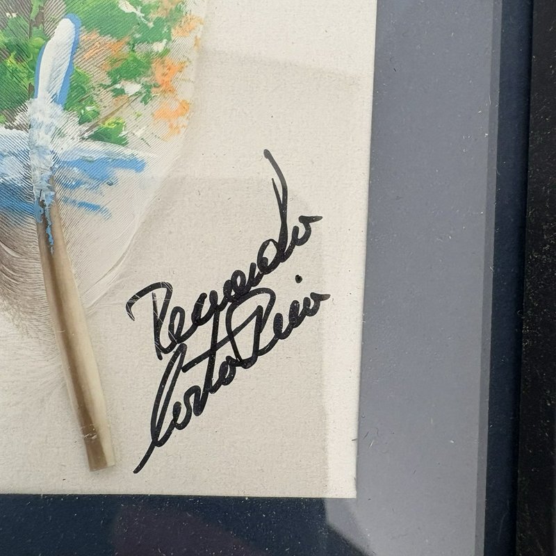 Hand Painted Feather Art Pair Costa Rica Hummingbird & Butterfly Signed Framed