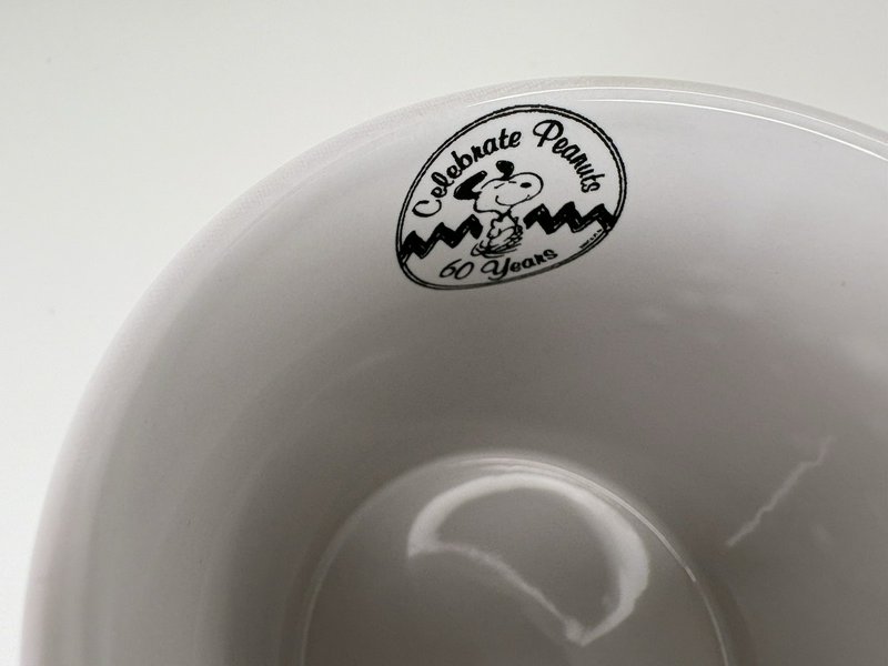 Vintage Peanuts Snoopy Charlie Brown Christmas Mug Gibson 12oz 60 Years