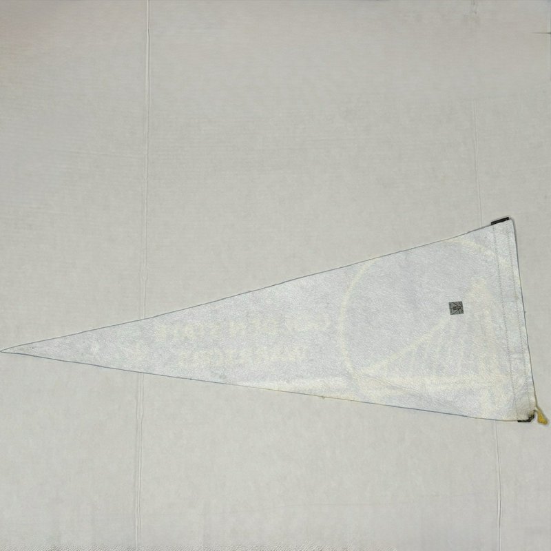 Golden State Warriors Pro Standard Jersey Size L + Felt Pennant NBA 7x Champs