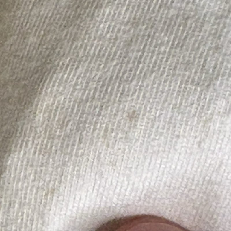 Jeff Gordon Pit Crew 24 Sleeveless Shirt Chase Authentics NASCAR Large