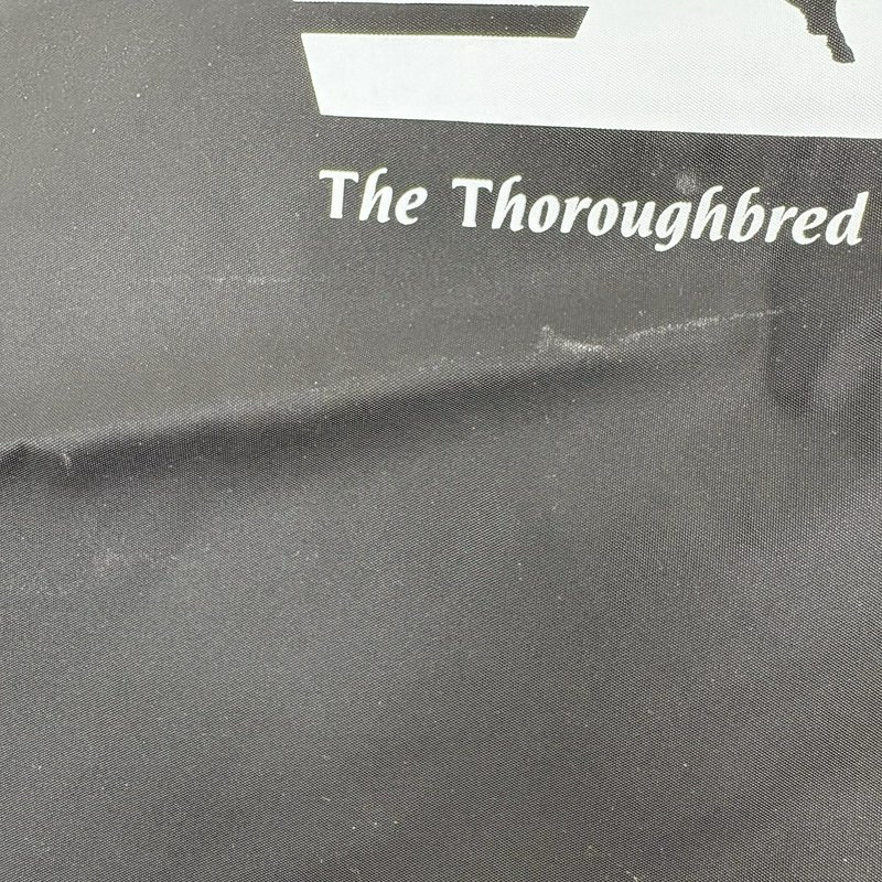 Norfolk Southern Safety Hat Tote & Pen Light Lot NS Railroad Invest in Safety