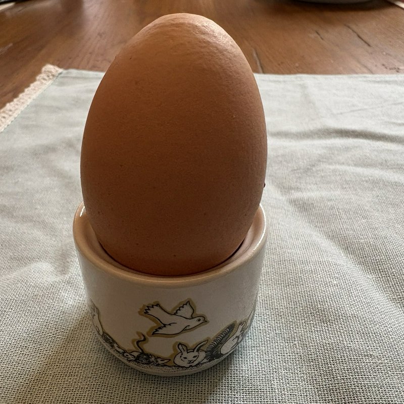 Vintage Irish Pottery Egg Cup Woodland Animals Rabbit Hedgehog