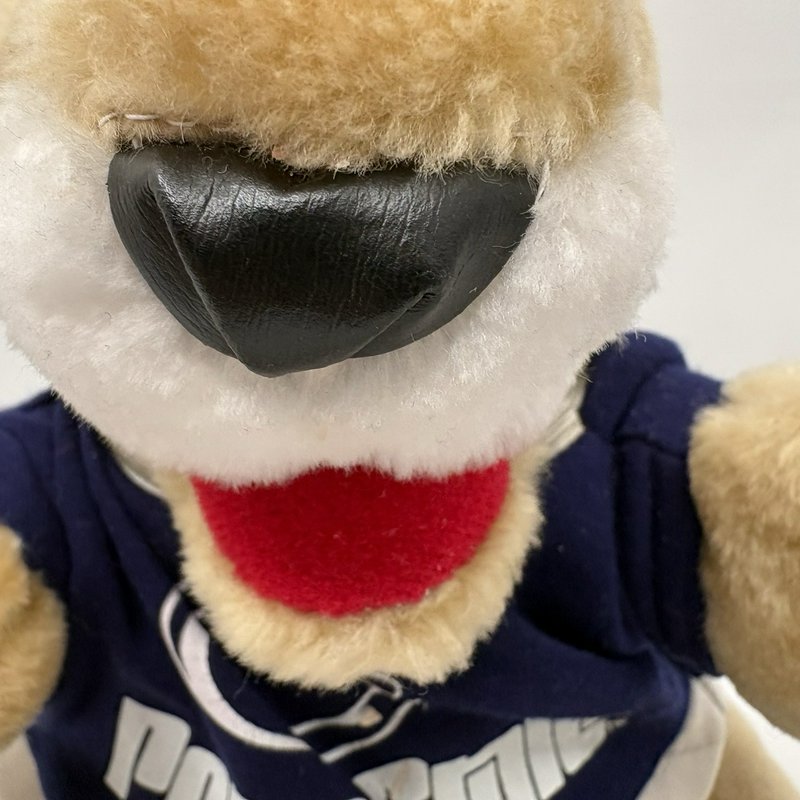 Vintage 1989 Wallace Penn State Nittany Lion Plush 10” PSU Mascot