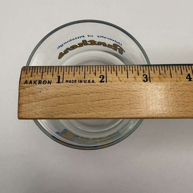 University of Pittsburgh Panthers Glasses Set of 2 Barware