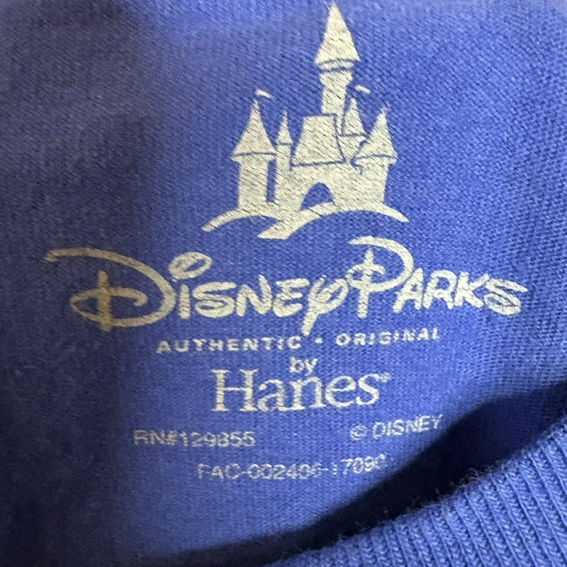 Walt Disney World Mickey Mouse T Shirt Blue 3XL Disney Parks Hanes