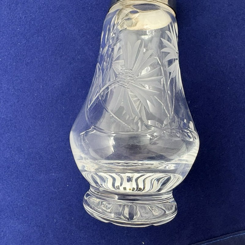 Royal Brierley Etched Cornflower Glass Salt Pepper Shakers Silver Tone Lids