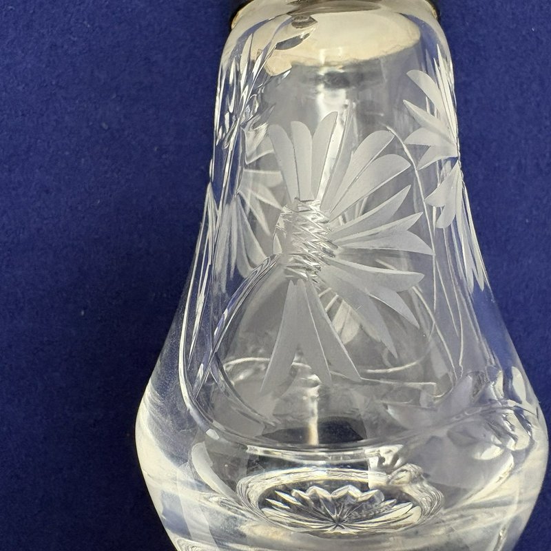 Royal Brierley Etched Cornflower Glass Salt Pepper Shakers Silver Tone Lids