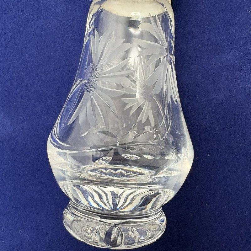 Royal Brierley Etched Cornflower Glass Salt Pepper Shakers Silver Tone Lids