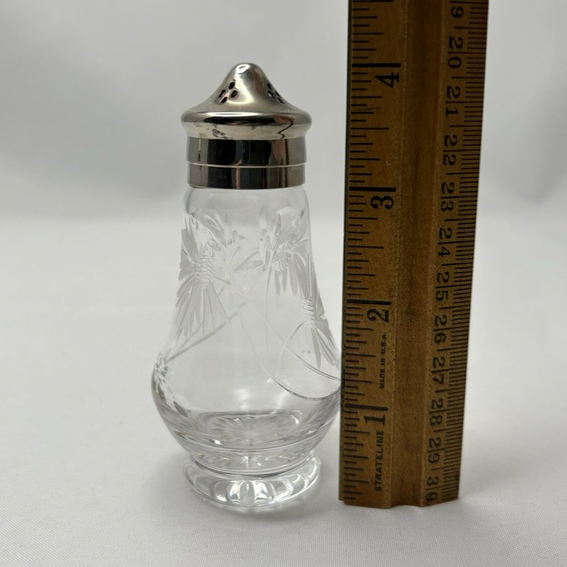 Royal Brierley Etched Cornflower Glass Salt Pepper Shakers Silver Tone Lids