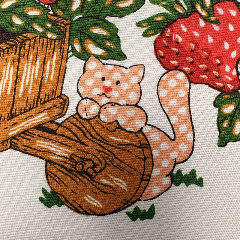 Vintage Strawberry Shortcake Apron 1980 Recipe Strawberry Surprise Retro