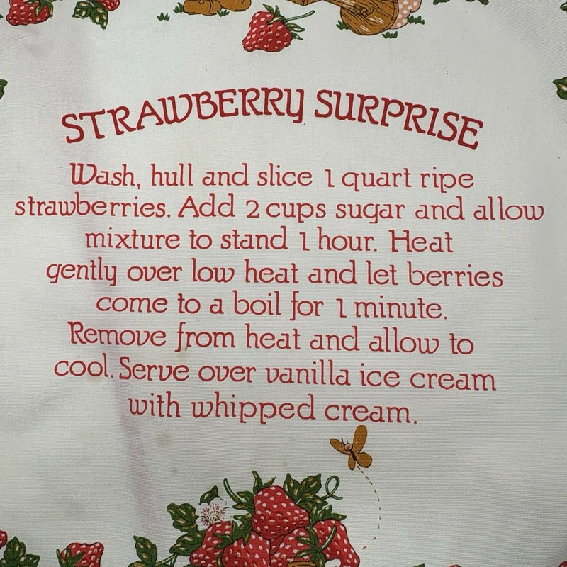 Vintage Strawberry Shortcake Apron 1980 Recipe Strawberry Surprise Retro