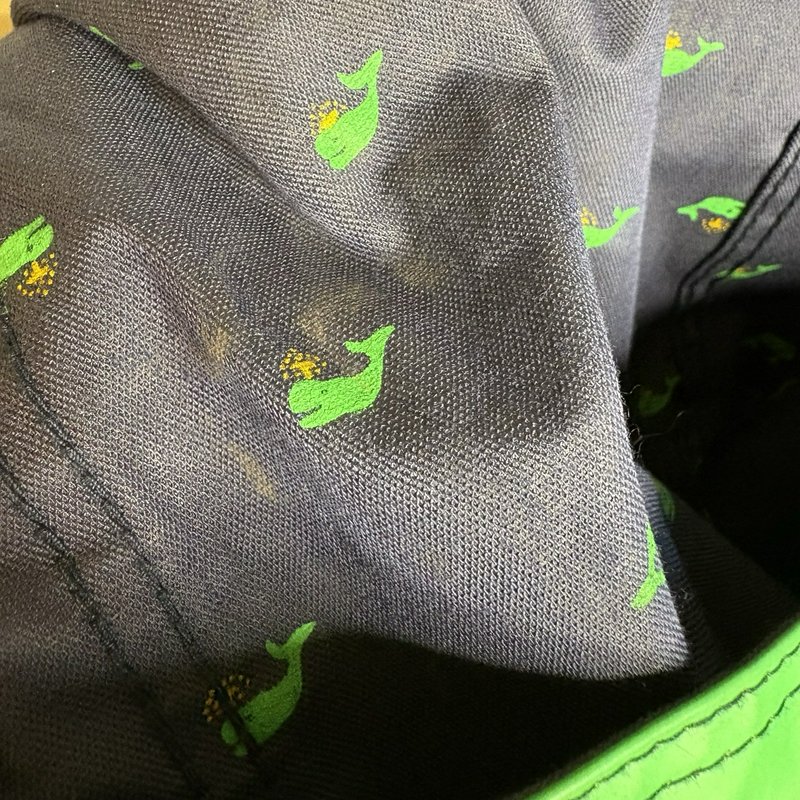 Vintage 80s Mizz Lizz Whale Print Green Hooded Rain Jacket Snap Front Womens M