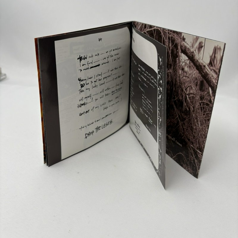 Pearl Jam CD Lot Vs Album Last Kiss Single Immortality Rearviewmirror