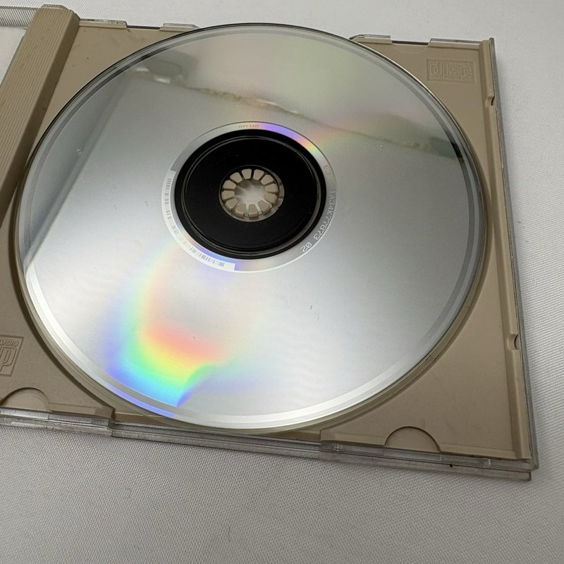 Pearl Jam CD Lot Vs Album Last Kiss Single Immortality Rearviewmirror