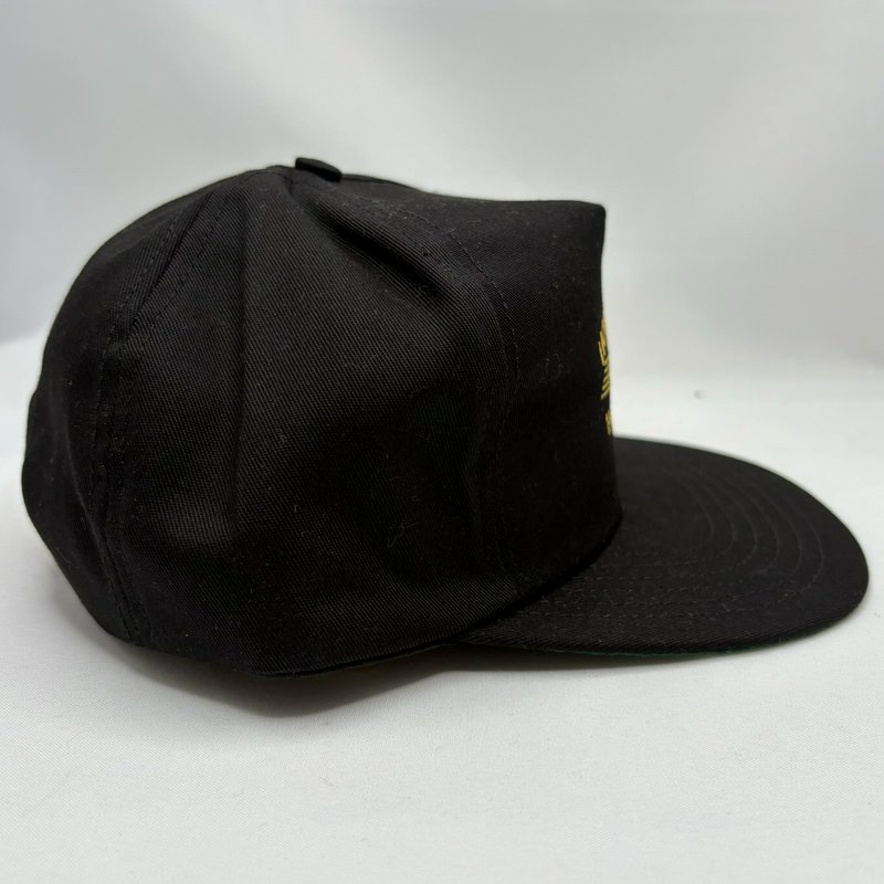 Vintage 1999 Hollidaysburg Norfolk Southern Snapback Hat