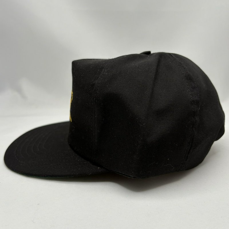 Vintage 1999 Hollidaysburg Norfolk Southern Snapback Hat